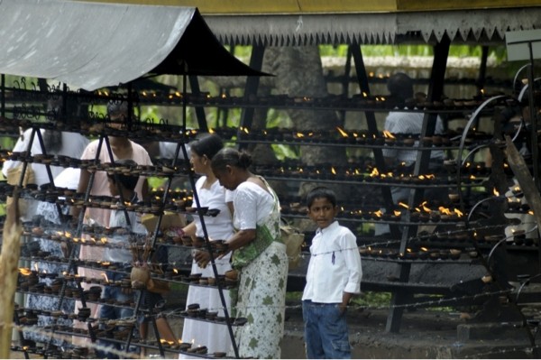 Наша Шри Ланка апрель-май 2008.