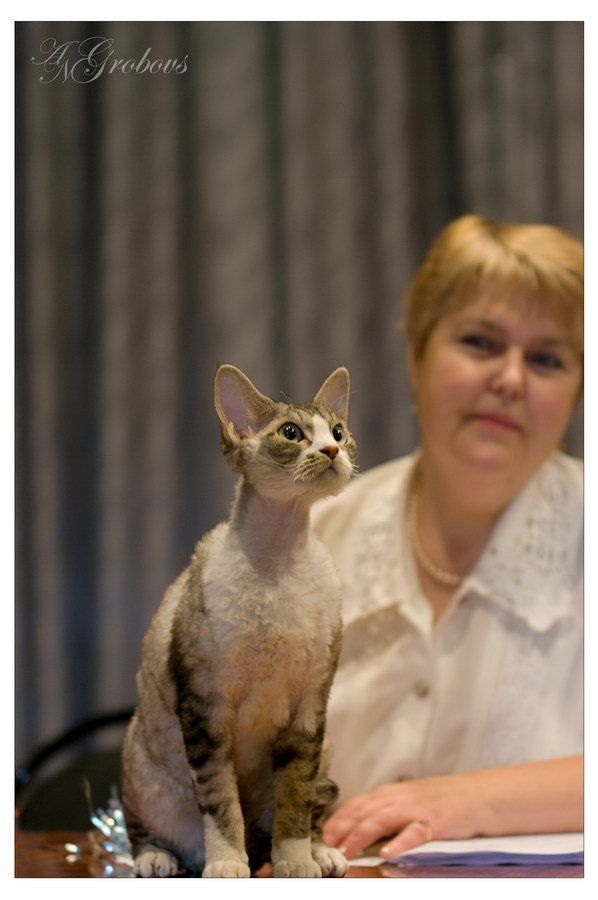 user posted image