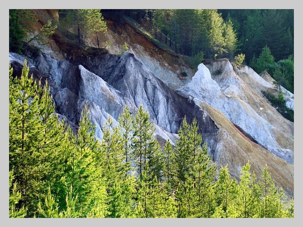 Природа родного края