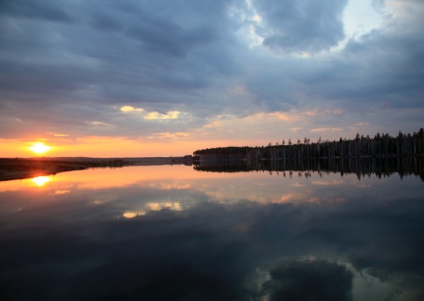 Природа родного края