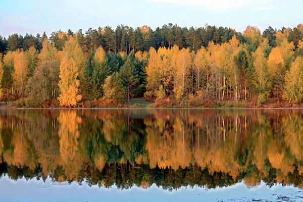 Золотая осень в отражениях