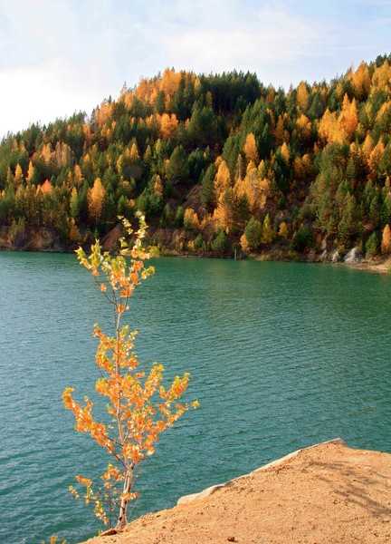 Золотая осень 2010 фото