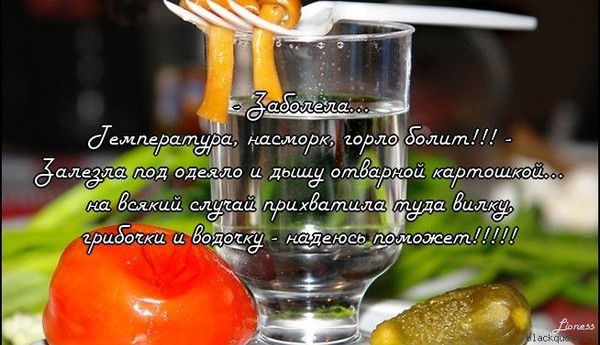 Прикольные картинки (99 фото) Прикольные картинки (99 фото)