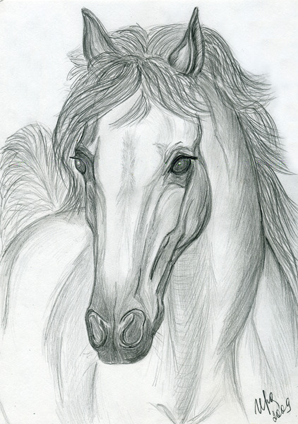 Как рисовать лошадь карандашом: 2 поэтапных уроков